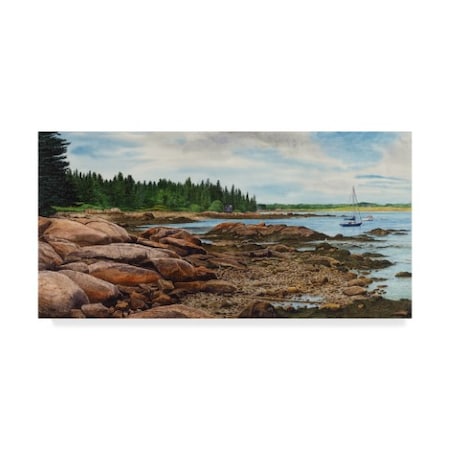 Michael Davidoff 'Spruce Head Peninsula' Canvas Art,16x32